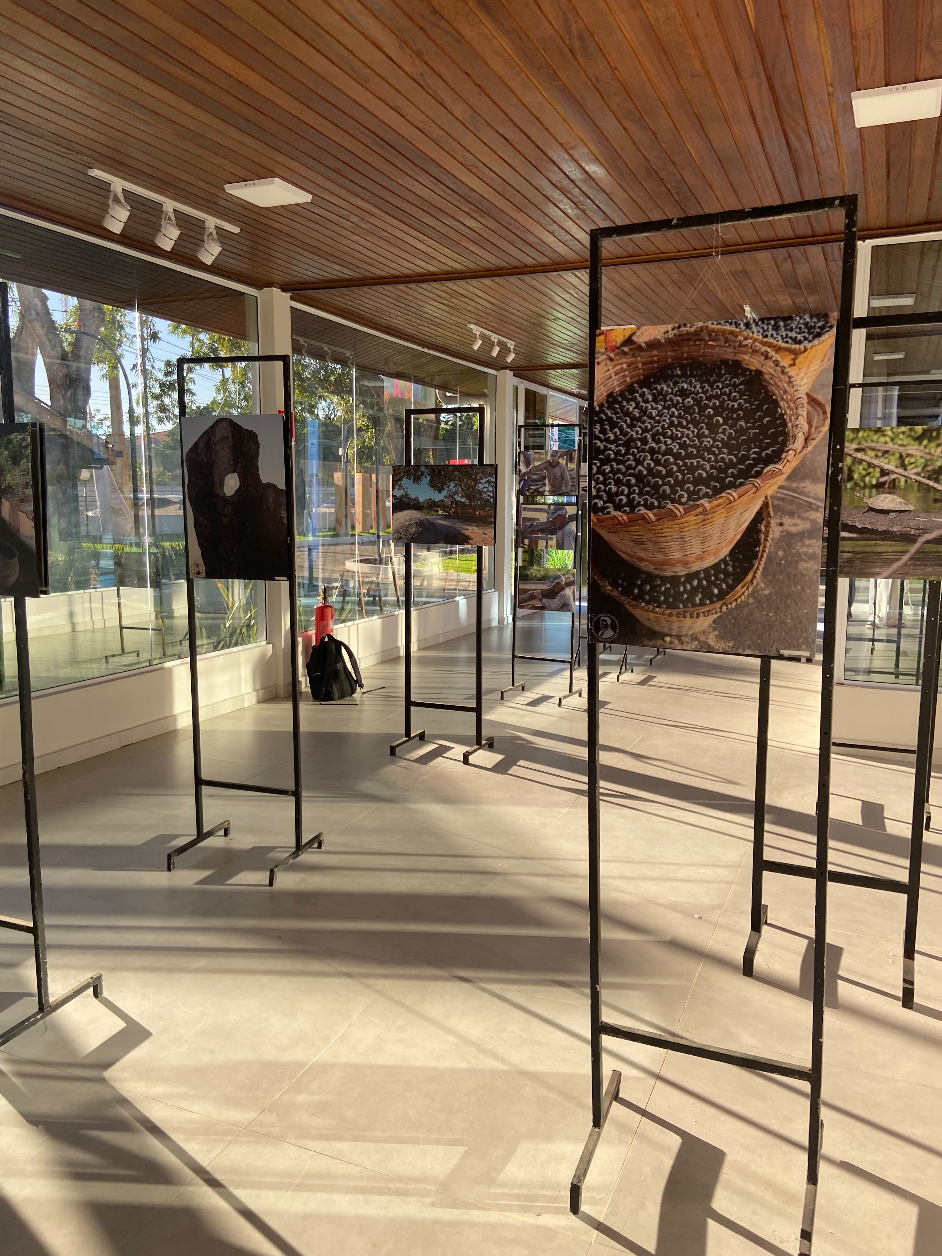 Exposição Saberes Amazônicos